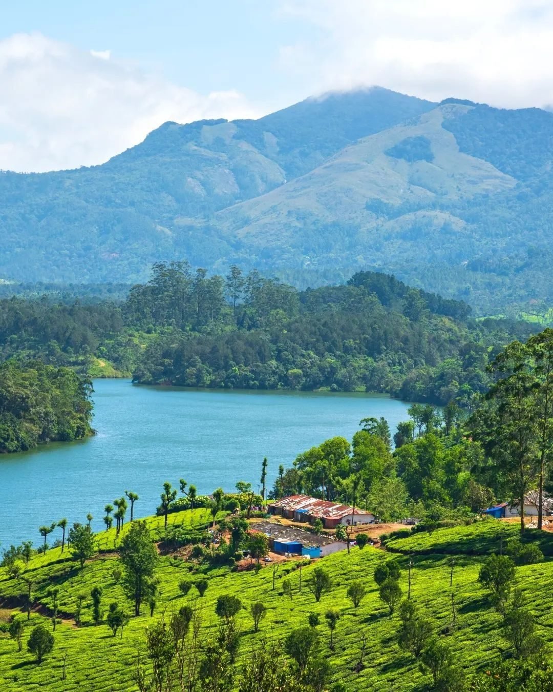 Kerala Tour Packages arranged by Travel Vibe Go, a tours and travel agency in Trivandrum
